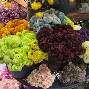 Dekorativa blommor konstgjorda växter ljusfärgad mossa hem trädgård dekorera