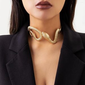Chains European And American Exaggerated Serpentine Chocker Collarbone Chain Collars Metal Wind Fashion Collar Women's Necklace