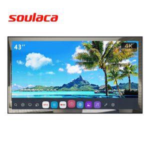 Soulaca 43 inches WebOS Mirror LED Television for Bathroom Hotel AI Built-in Alexa Voice Control WiFi Bluetooth Smart 4K TV Waterproof 2023 Amazon 2023