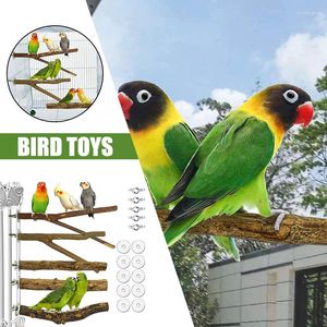 Other Bird Supplies Wooden Toy Roost Natural Grape Stick Parrot Platform Apple Wood Playground For Small Parakeets