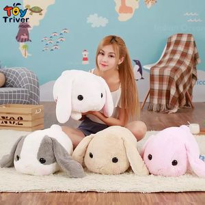 دمى Plush Kawaii Rabbit Bunny Plush Toys محشوة بالحيوانات وسادة وسادة الأطفال الأطفال الأطفال هدايا عيد ميلاد ديكور المنزل 230523