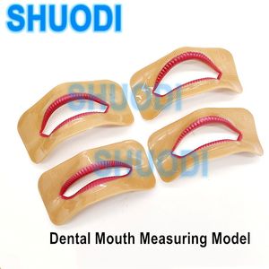 Other Oral Hygiene 4 pcs Dental Lab Denture Laboratory Aesthetics Parts Mouth Measuring Lip Measurement Tool Lip Moldel Different Shape 230524