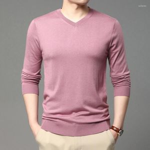 Men's Sweaters High Quality Mens Sheep Wool Tee Shirts 2023 Spring & Autumn Long Sleeve Jumpers Male Casual Slim Silk Knitwear T