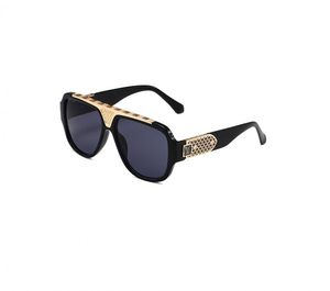 sunglasses designer cat eye sunglasses mens sunglasses womens sunglasses New sunglasses fashion 3013 big frame anti-UV sunglasses brand sunglasses