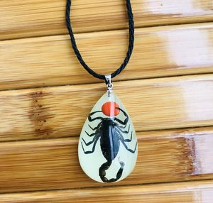 Pendant Necklaces Resin Insect Charms Necklace Luminous Insects Amber Rope Scorpion Ant Stalls Manufacturers WholesalePendant