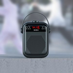 Hurtowy niestandardowy tweer HiFi Midrange subwoofer audio bezprzewodowy przenośny inteligentny głośnik Bluetooth Karaoke