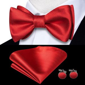 Bow Ties Hi-tie Red Blue Silk męs