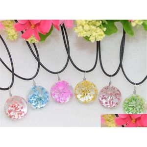 Pendant Necklaces Plant Dried Flower Necklace Lace Glass Ball Female Gsfn315 With Chain Mix Order Drop Delivery Jewelry Pendants Dhlfj