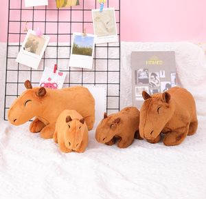 30 cm mode söt capybara plysch leksak kawaii pp bomull fylld plysch kudde festival present doll barn leksaker