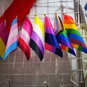 Mały postęp duma tęczowa flaga gejów mini ręczne ręczne inlluzywne progresywne duma LGBT Dekoracje imprezowe 0525