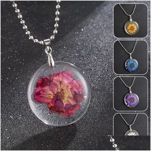 Collane con ciondolo Fiore essiccato naturale per le donne Resina trasparente Veri gioielli rotondi asciutti Regalo Pendenti con consegna a goccia Dhhmg