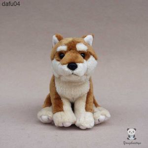 Bambole adorabili bambole giocattolo per cani vita reale peluche Akita giocattolo per cani compleanno per bambini morbido e di alta qualità L230522 L230522