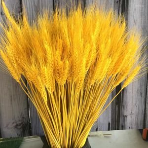 Flores decorativas 100pcs seco de trigo de trigo de casamento decoração de festa decoração de primavera itens caseiros com grama pampa