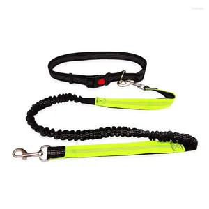 Colarinhos de cães reflexivo coleira livre de brechas de nylon rolagem de faixa de chumbo de pet -chwer colar e corda de cintura ajustável