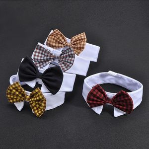 Hundkläder Liten Grooming Pet Cat Bow Tie Collar Valp Tillbehör Yorkie Bowtie Supplies Decorations Holiday