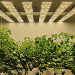 Grow Lights 1000Wvertical Farming Plants Veg Bloom inomhus växande ljus med fullt spektrum roterande dimmergrow lampor