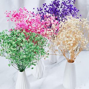 Flores decorativas de plantas naturais de gipsophila azul escura FLORES ARTIFICIALES PARA DOECORAÇÃO VENDAS DIRETAS VENDAS GRATUITAS COMPRAS 80G