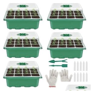 Assista Bandas 5pack Seed Starter Bandeja kit de planta de plântulas com cúpulas de umidade e propagador de estufa de base relógios de entrega dh870