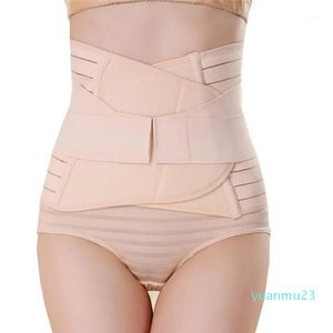 Waist Support Adjustable Slim Belt Breathable Lumbar Back Braces Treatment Of Disc Herniation Muscle Strain