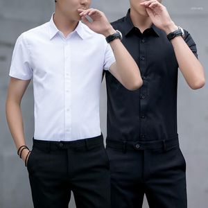 Herrklänningskjortor skjorta män kort ärm ingen strykning smal anti-veckad affärsarbete kläder sommar professionell formell slitage fast färg