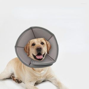 Hundhalsargenerering Cat Cone Collar justerbar skydd efter att förhindra husdjur från att slicka skrapning av beröring av sår