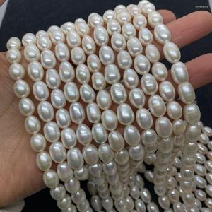 Pärlor naturliga sötvatten pärla högkvalitativ risform stans lös för smycken som gör DIY -halsband armband armband