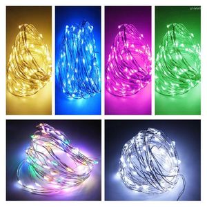 Strings String Light LED Garland Fairy Lights Christmas Holiday Wedding Decor Battery Power Outdoor Room