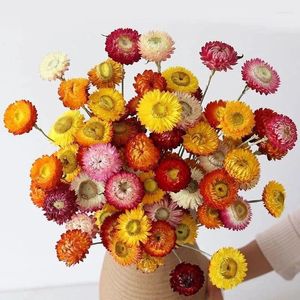 Fiori decorativi Mazzo di crisantemo essiccato reale Margherita Pianta di girasole Fiore Decorazione domestica Regalo per la festa della mamma Soggiorno