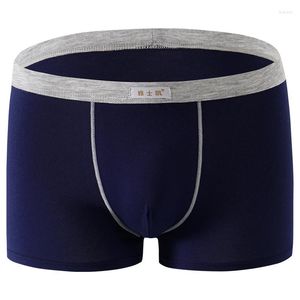 Underbyxor 4st/Lot Top Quality Boxers Pure Cotton Underwear Male Box Plus Big Size L/XL/XXXL/4XL/5XL Boxer Shorts Men's