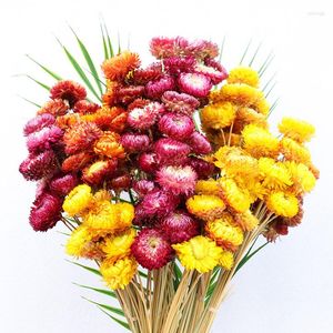 Decorative Flowers 10pcs Natural Chrysanthemum Bouquet Daisy Sunflower Dried Plant Flower Home Decoration Mother&#39;s Day Gift Living