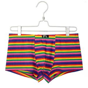 Underbyxor bomull underkläder män färgglada ränder boxare fashionabla andningsbara herrboxare shorts låg stigning sexig bikini