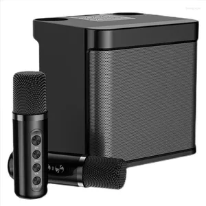 Combination Speakers YS-203 Speaker Microphone Set Home Singing Equipment Wireless Bluetooth KTV Karaoke Machine Voice Changer -Black