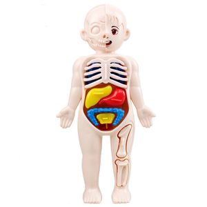 14Pcs Set Human Organ Model Children DIY Assembled Medical Early Science And Education Toys