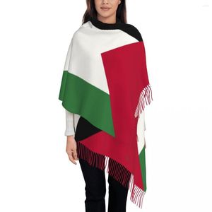 الأوشحة الأزياء الفلسطين علم الشرابة وشاح النساء الشتاء شال دافئ التفاف أنثى فلسطينية وطني