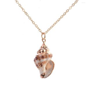 Catene Fashion Beach Sea Ocean Conch Collana con ciondolo per donna Collana con colletto a conchiglia naturale Collana con pendente a catena maglione femminile