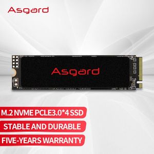 ASGARD AN2内部ハードディスク250GB 500GB PCIE3.0 X4ソリッドステートドライブM.2 NVME M2 2280用デスクトップ用NVME M22280