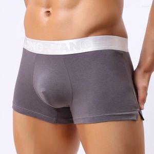 Unterhosen Sexy Männer Boxer Weiche Atmungsaktive Unterwäsche Männlich Bequeme Baumwolle Höschen Cueca Boxershorts Homme Für Hohe Qualität