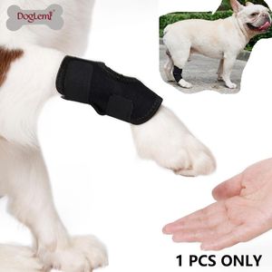 Utrustning Shurt Dog Leg Brace Pet Bandages Knee Hock Straps For Our VIP -kunder