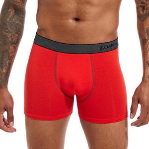 Underpants Man Underwear Boxers Sale Men's Panties Cotton Sexy Red Slips Mens Boxer Shorts Male Boxershorts Undrewear