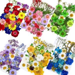 Flores decorativas Flores prensadas montam sacos de material para amostras de árvores 5 Remessa grátis