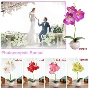 Dekorativa blommor Daisy Artificial Simulated Plant Bonsai inomhusfjäriliska orkidéväxter Elegans Autumn Centerpieces för bord