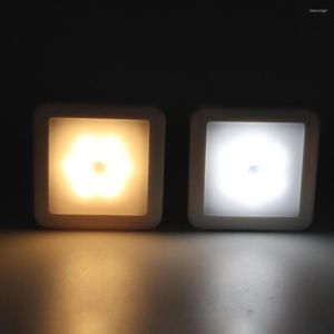 Luci notturne Sensore di movimento Luce Lampada da comodino per camera da letto alimentata a batteria Decorazione della stanza Parete senza fili per illuminazione dell'armadio del corridoio delle scale