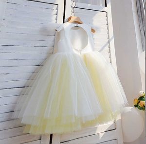 Girl's Dresses Retail New Baby Girls Boutique Back Hollow Out Mesh Flower Dress Princess Kids Elegant Party Birthday Dress Holiday 3-8T AA230531