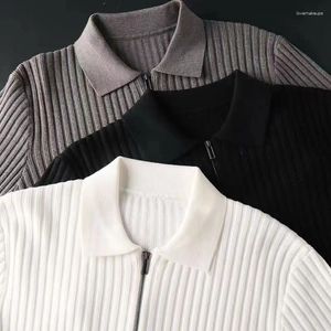 Męskie swetry lekkie Business Pionowy Sweter Polo na 2023 jesień/zima swobodna Slim Fit Handsome Knitt Shirt Half Top