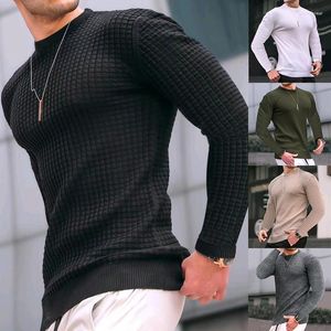 Men's T-skjortor Fashion Casual Long Sleeve Slim Fit Basic Sticked tröja Pullover Male Round Collar Autumn Winter Topps Bomull T-shirt