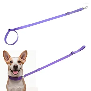 Coleiras de cachorro cor sólida 2 em 1 pet leva pitada ajustável pvc chumbo à prova dwaterproof água cinto de segurança andando suprimentos acessórios