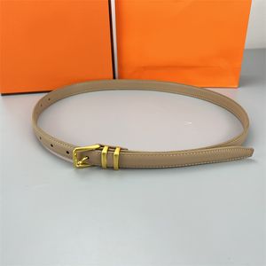 Luxury belts for womens designer leather belt fashion high quality plated gold retro needle buckle classic waist designer belt brown black narrow hj08