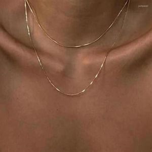 Choker 14K Guldfylld fiskbenshalsband Dainty Sexig skiktad ormkedjeskikt för kvinnor MOM212B