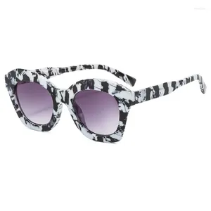 Sunglasses Cat-eye Trend Europe And The United States Fashion Personality Network Red Same PC