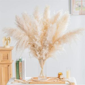 Dekorative Blumen 10 Stück große natürliche getrocknete Pampasgras Boho Home Decor Blumenstrauß Phragmites für Hochzeit Blumenarrangement